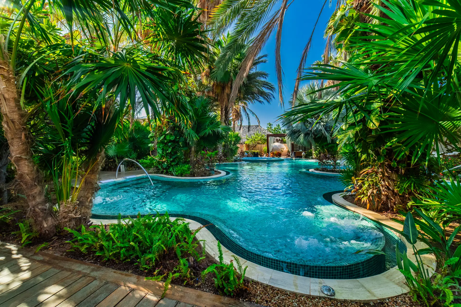Free-form resort pool bordered by tropical palms and greenery.